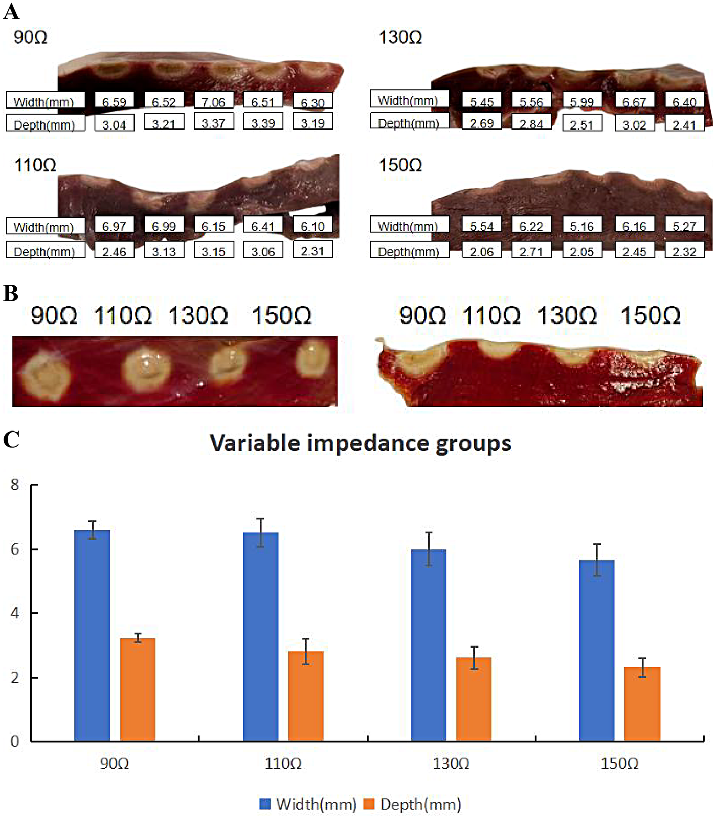 Panel A shows cross-sections of tissue samples categorized by impedance levels: 90Ω, 110Ω, 130Ω, and 150Ω, highlighting width and depth measurements in millimeters. Panel B presents a comparison of ablation lesions with different impedance values within the same TTC-stained myocardium, demonstrating visual differences. Panel C features a bar graph comparing width and depth across variable impedance groups, with width depicted in blue bars and depth in orange bars, indicating variations in measurement by impedance level.