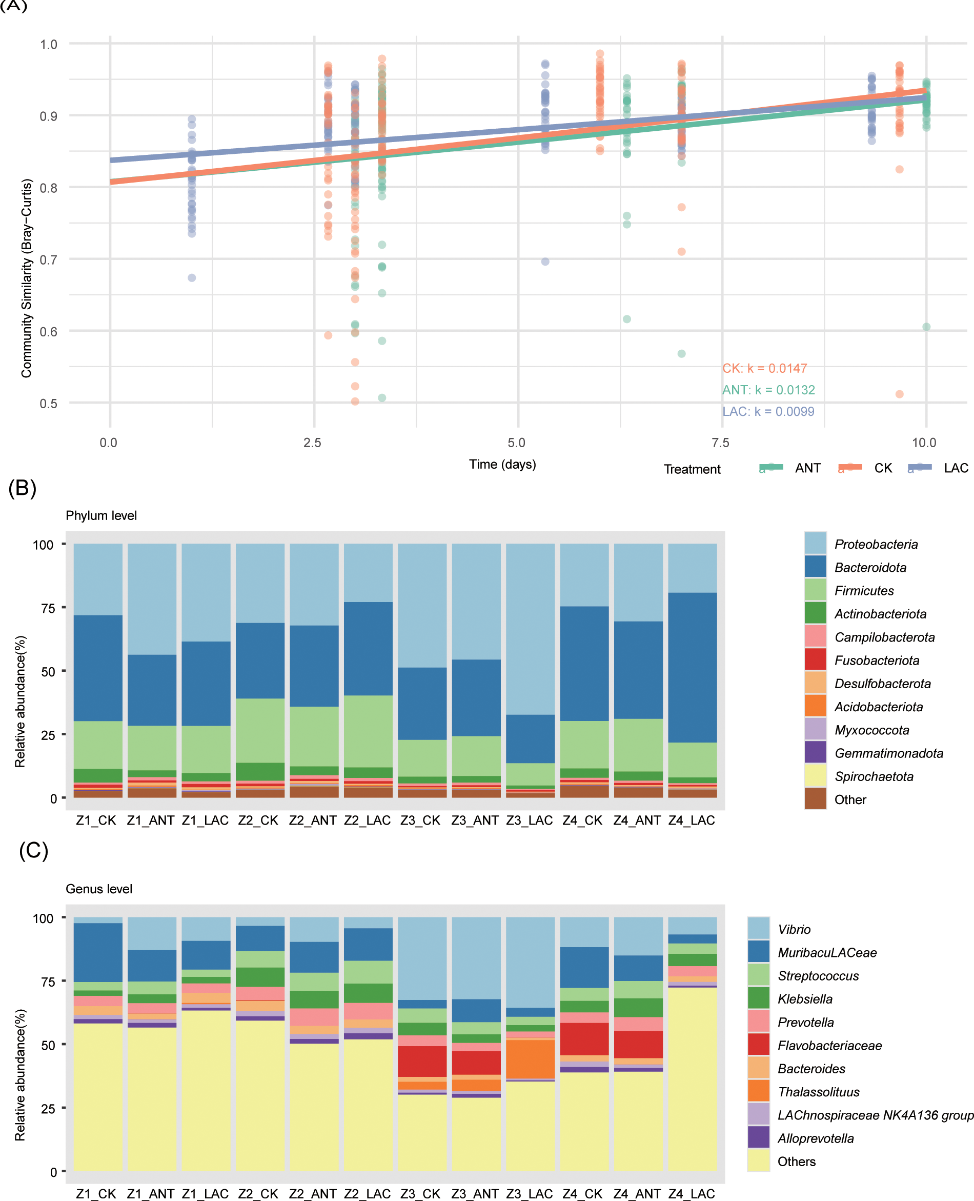 Panel A shows a line graph of community similarity over time for treatments ANT, CK, and LAC, with calculated k values. Panels B and C display stacked bar charts. Panel B illustrates relative abundance at the phylum level across various groups, with a legend specifying phyla like Proteobacteria and Firmicutes. Panel C shows genus-level abundance, with a legend naming genera such as Vibrio and Streptococcus. Each chart allows comparison of microbial compositions across treatments and time points.