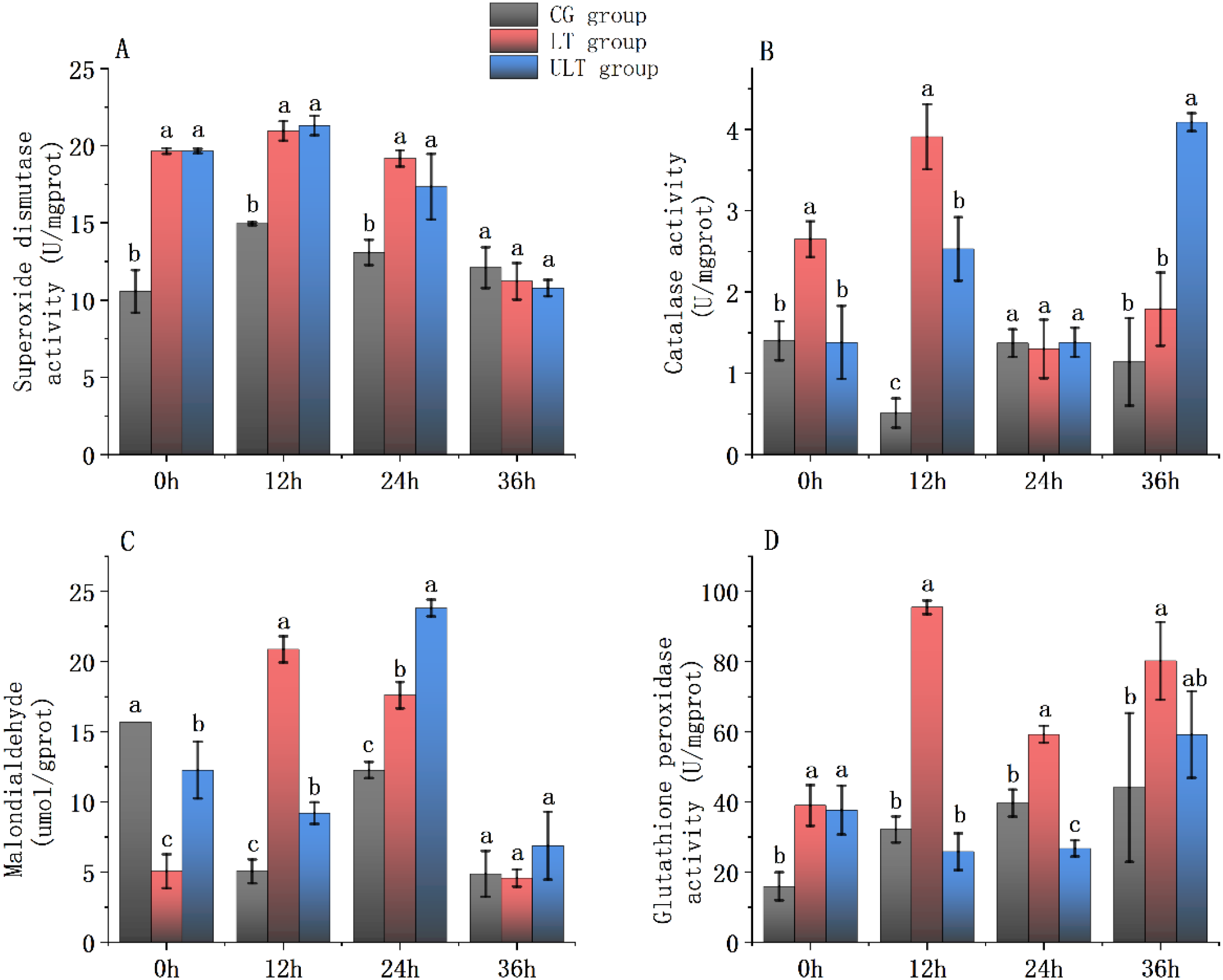 Four bar charts labeled A, B, C, and D depict enzyme activity levels over time for three groups: CG, LT, and LLT. Panel A shows superoxide dismutase activity; panel B shows catalase activity; panel C shows malondialdehyde levels; panel D shows glutathione peroxidase activity. Each chart compares values at 0, 12, 24, and 36 hours. Different colored bars represent each group, with error bars and letters indicating statistical significance.