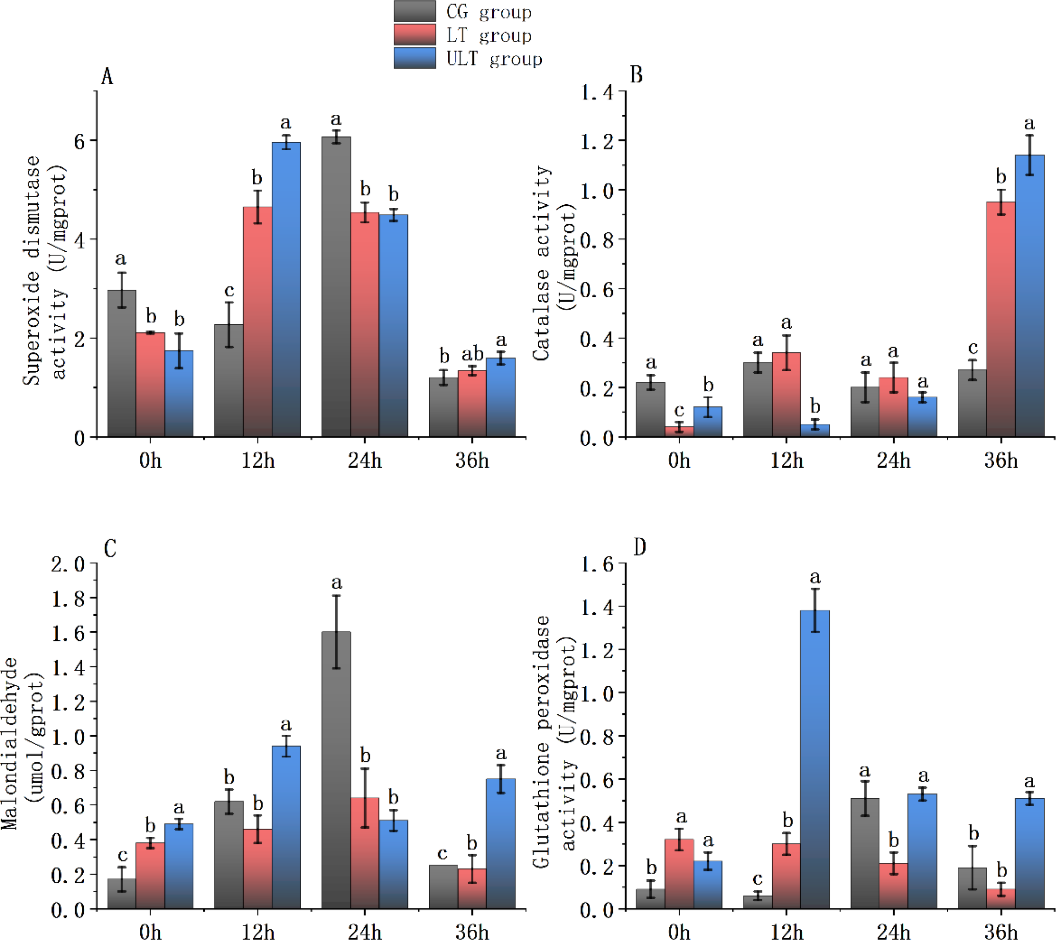 Bar charts showing enzyme activity over time in different groups. Chart A displays superoxide dismutase activity; Chart B shows catalase activity; Chart C illustrates malondialdehyde levels; Chart D presents glutathione peroxidase activity. Time intervals are 0, 12, 24, and 36 hours. Groups are CG, LT, and ULT, distinguished by different colors. Error bars and statistical significance indicated by letters a, b, c.