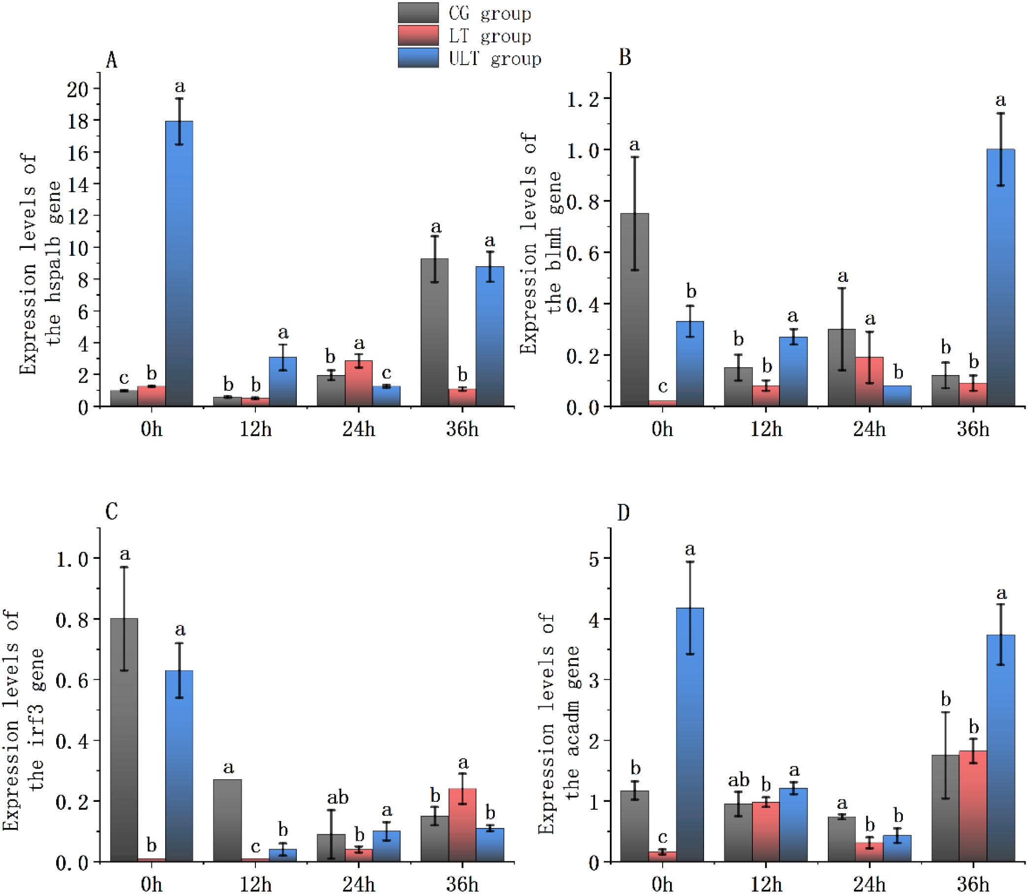 Bar graphs displaying gene expression levels at different time points for four genes: hspalb (A), blmh (B), frf3 (C), and acadm (D). Each graph compares three groups: CG (gray), LT (red), and ULT (blue). Expression varies across the groups and over time intervals of zero, twelve, twenty-four, and thirty-six hours. Distinct letters above bars indicate statistical differences within each time point and group.
