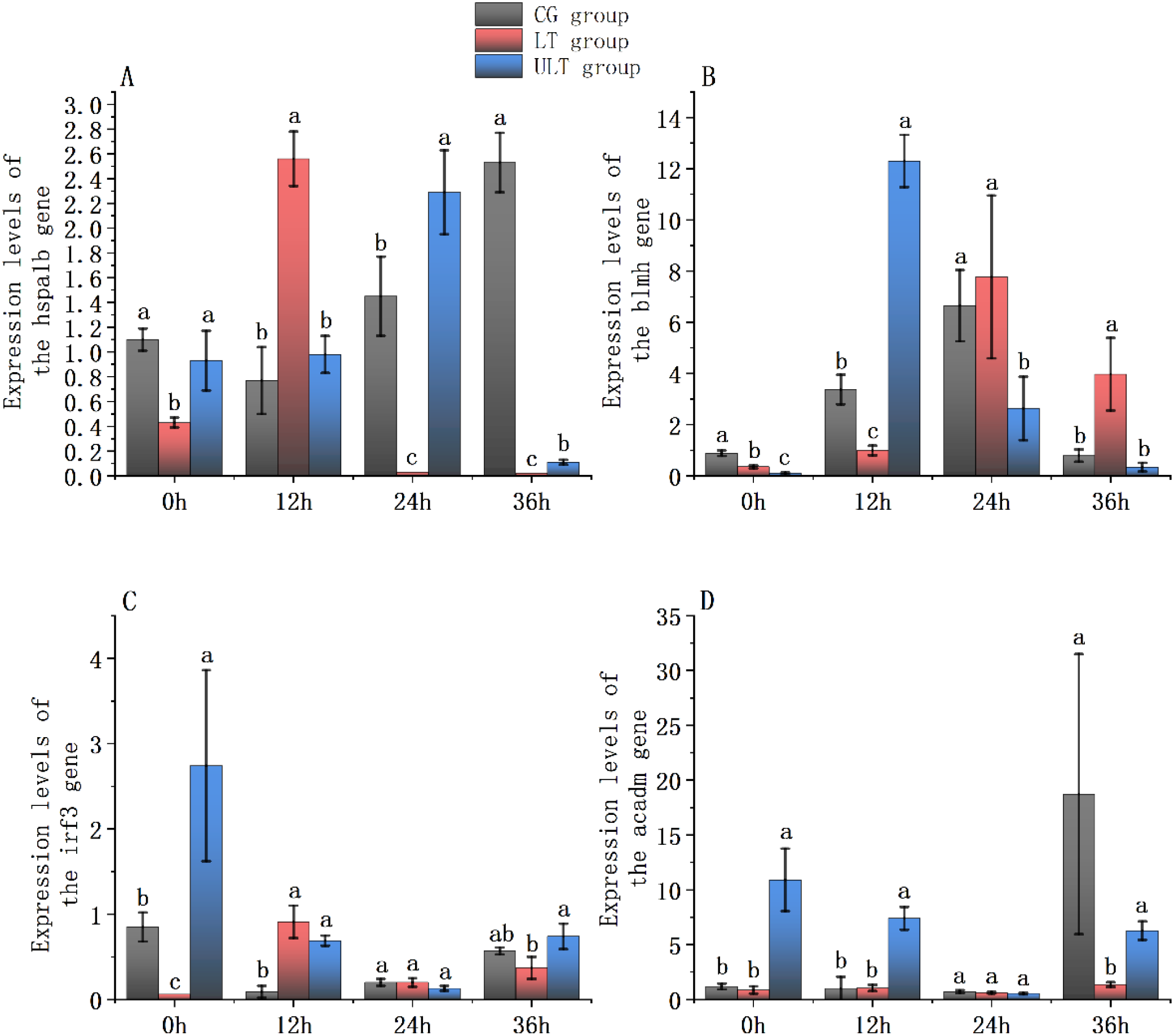 Bar charts labeled A to D compare gene expression levels across different time points (0h, 12h, 24h, 36h) for three groups: CG, LT, and ULT. Each chart corresponds to a different gene: hspa1b, bcl2, irf3, and acadm. The charts use different colors, with error bars and annotations indicating significant differences.