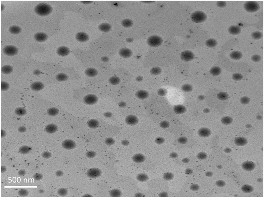 Electron microscope image showing a nanoscale surface dotted with circular dark spots of varying sizes. The background is a lighter gray, and a scale indicating five hundred nanometers is present in the bottom left corner.