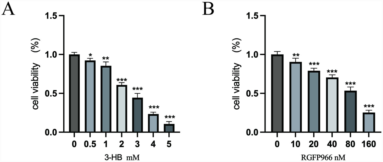 Bar graphs labeled A and B showing the effect of different concentrations of 3-hydroxybutyrate (3-HB) and RGFP966 on cell viability, respectively. In both graphs, cell viability decreases as concentrations increase, with statistical significance indicated by asterisks.