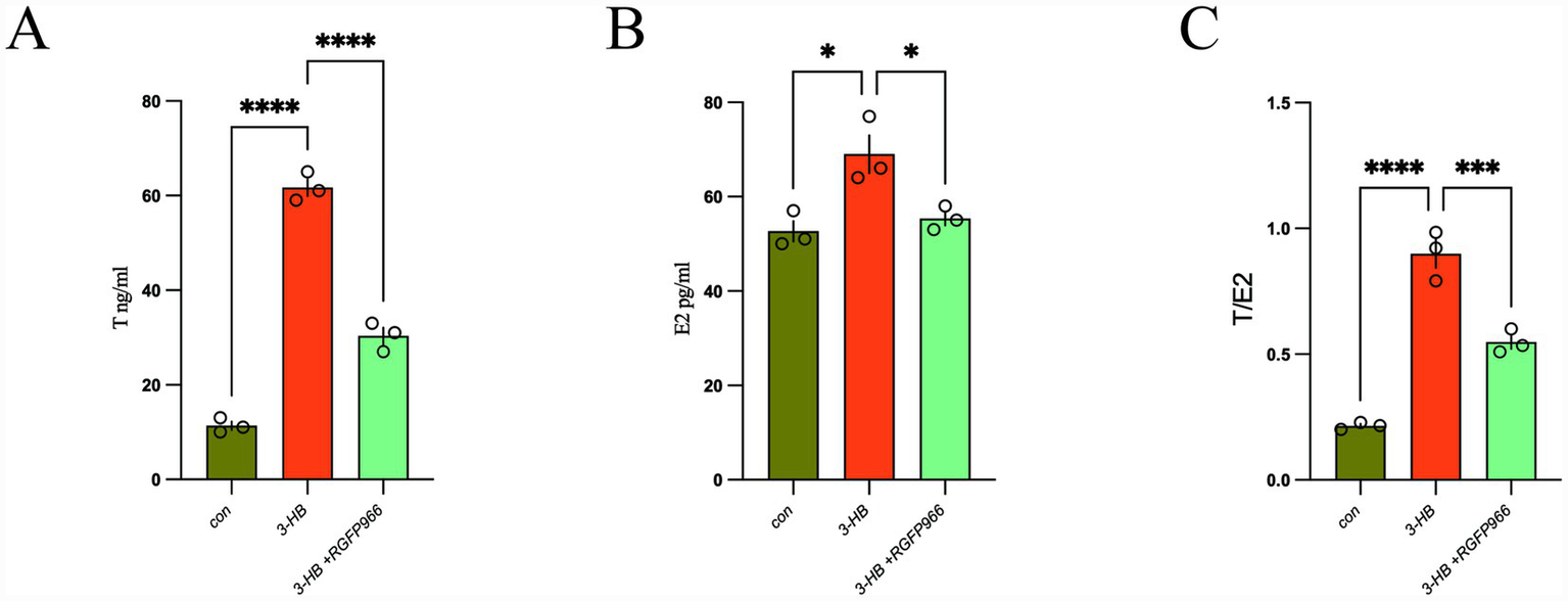 Bar charts comparing testosterone (T), estradiol (E2), and T/E2 ratio across three groups: control (con), 3-hydroxybutyrate (3-HB), and 3-HB with RGFP966. Panel A shows T levels, panel B shows E2 levels, and panel C shows the T/E2 ratio. Significant differences are indicated with asterisks.