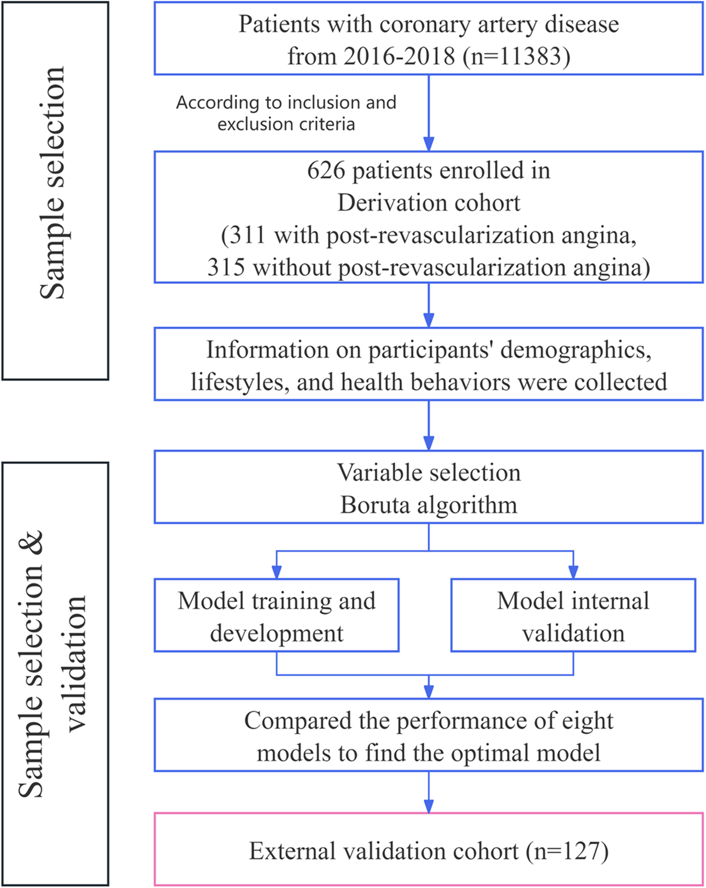 Flowchart illustrating sample selection and validation for a study on coronary artery disease from 2016 to 2018. It starts with 11,383 patients, narrows to 626 for the derivation cohort, and includes demographic information collection. The Boruta algorithm is used for variable selection, followed by model training, internal validation, and performance comparison of eight models. Finally, it concludes with an external validation cohort of 127.