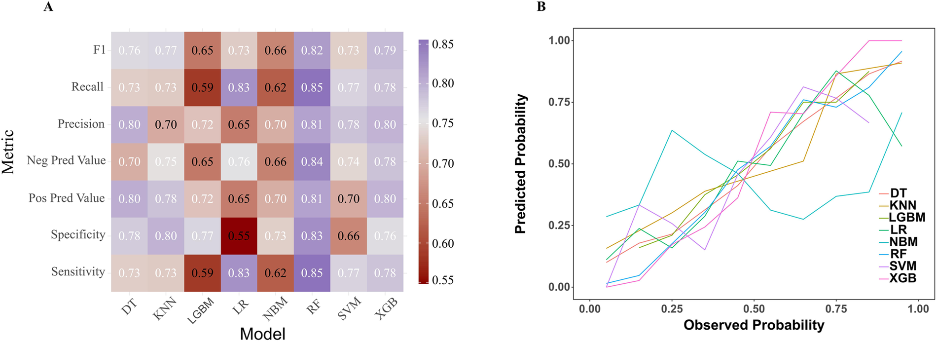 Panel A shows a heatmap of performance metrics for various models (DT, KNN, LGBM, LR, NBM, RF, SVM, XGB), with values ranging from 0.55 to 0.85. Panel B depicts a line chart comparing observed versus predicted probabilities for multiple models, identified by different colored lines.