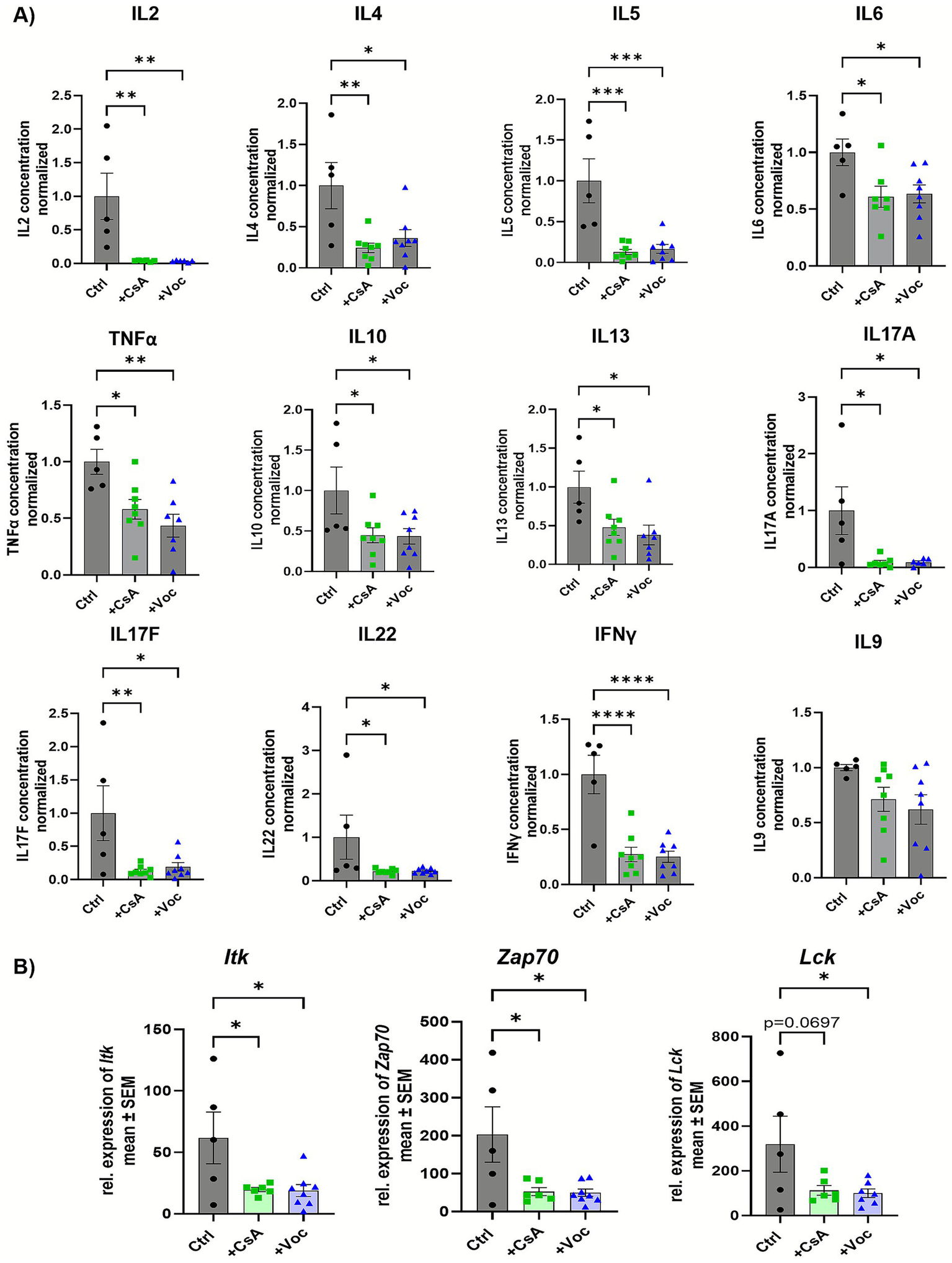 Graphs depict normalized cytokine concentrations and gene expression comparisons across three conditions: Ctrl, +CSA, and +VOC. Part A shows cytokines IL2, IL4, IL5, IL6, TNFα, IL10, IL13, IL17A, IL17F, IL22, IFNγ, and IL9 with statistical significance denoted. Part B displays relative expression of Itk, Zap70, and Lck genes, with mean ± SEM and significance levels indicated.