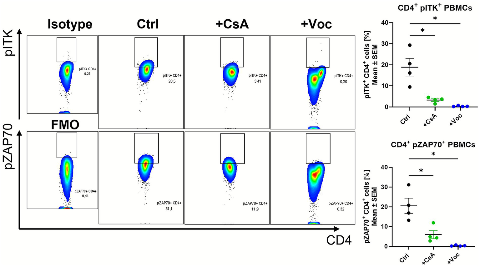 Flow cytometry plots and graphs showing CD4+ T-cell activation under different conditions. The plots display pITK and pZAP70 expression levels for Isotype, Ctrl, CsA, and Voc treatments. The graphs on the right quantify pITK+ and pZAP70+ CD4+ cell percentages with mean and standard error values, highlighting significant differences between the treatment groups.