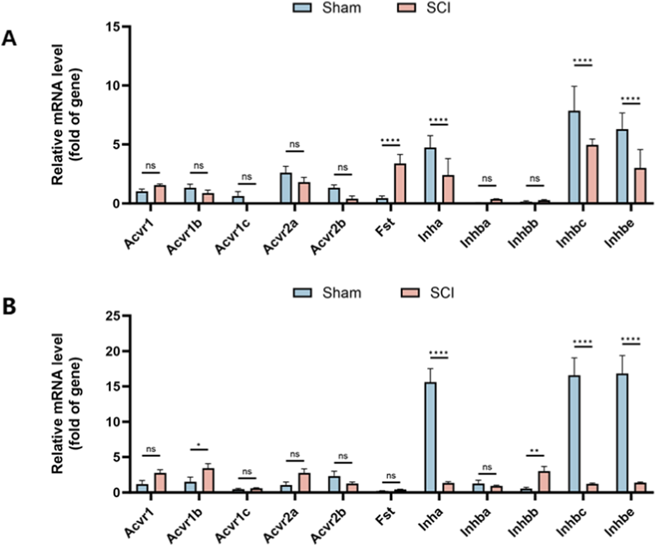 Bar graphs comparing relative mRNA levels of various genes in two groups, Sham and SCI, using blue and pink bars respectively. Panel A and panel B display similar gene sets, showing significant differences (indicated by asterisks) for Fst, Inha, Inhbc, and Inhbe, with higher values in the Sham group. Error bars indicate variability, and “ns” denotes non-significant differences for most genes.