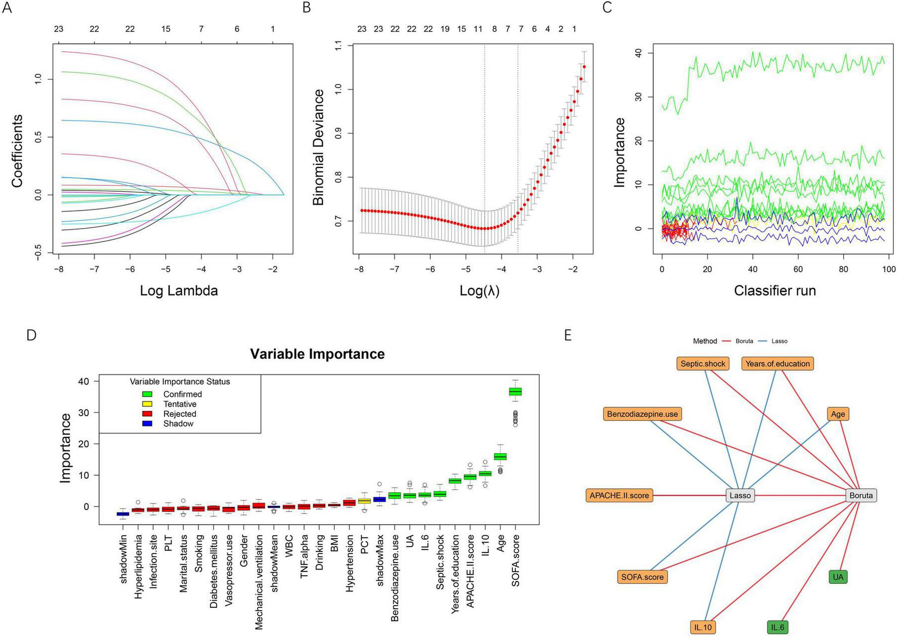 A series of data visualizations demonstrate statistical analyses. Panel A shows a line graph of coefficients versus log lambda, with curves of varying colors. Panel B depicts a binomial deviance plot against Log(λ) with a curve and error bars. Panel C is a line chart of variable importance over classifier runs, showcasing multiple colored lines. Panel D displays a bar chart of variable importance, with color coding for confirmation status. Panel E features a network diagram connecting variables like septic shock and age with the methods Bonferroni and Lasso.