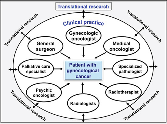 Frontiers | The Relevance of Gynecologic Oncologists to Provide High ...
