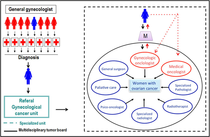 Frontiers | The Relevance of Gynecologic Oncologists to Provide High ...