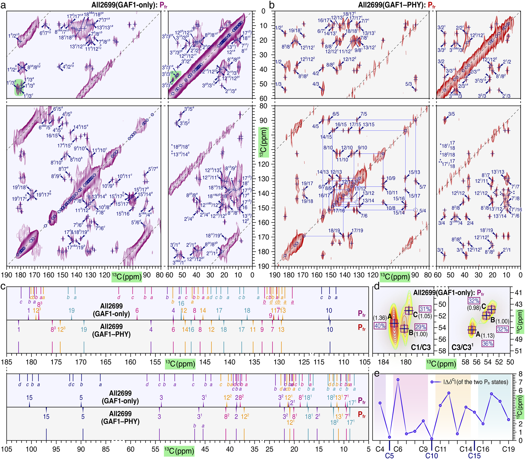 Scientific image showing NMR spectroscopy data for All2699 protein variants. Panels a and b display 2D spectra with labeled peaks in purple and red, indicating carbon shifts (ppm). Panel c presents comparative carbon spectrum overlays for GAF1-only and GAF1–PHY states. Panel d focuses on specific carbon shifts for C1/C3 and C3/C3'. Panel e graphs Δδ shifts of Pr and Pfr states. Patterns and labels assist in spectral analysis.