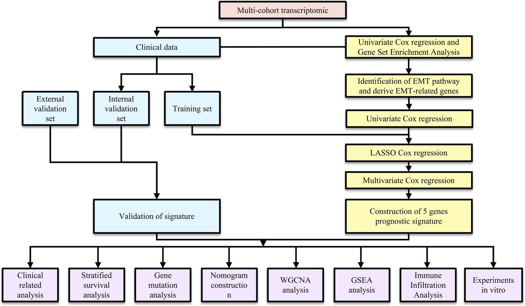 Flowchart illustrating a multi-cohort transcriptomic study. It begins with clinical data divided into external, internal, and training sets. The training set undergoes univariate Cox regression and gene set enrichment analysis, identifying genes from the EMT pathway. It proceeds through LASSO and multivariate Cox regression to construct a five-gene prognostic signature. This signature undergoes validation, subsequently leading to clinical, survival, gene mutation, nomogram construction, WGCNA, GSEA, immune infiltration analysis, and in vitro experiments.