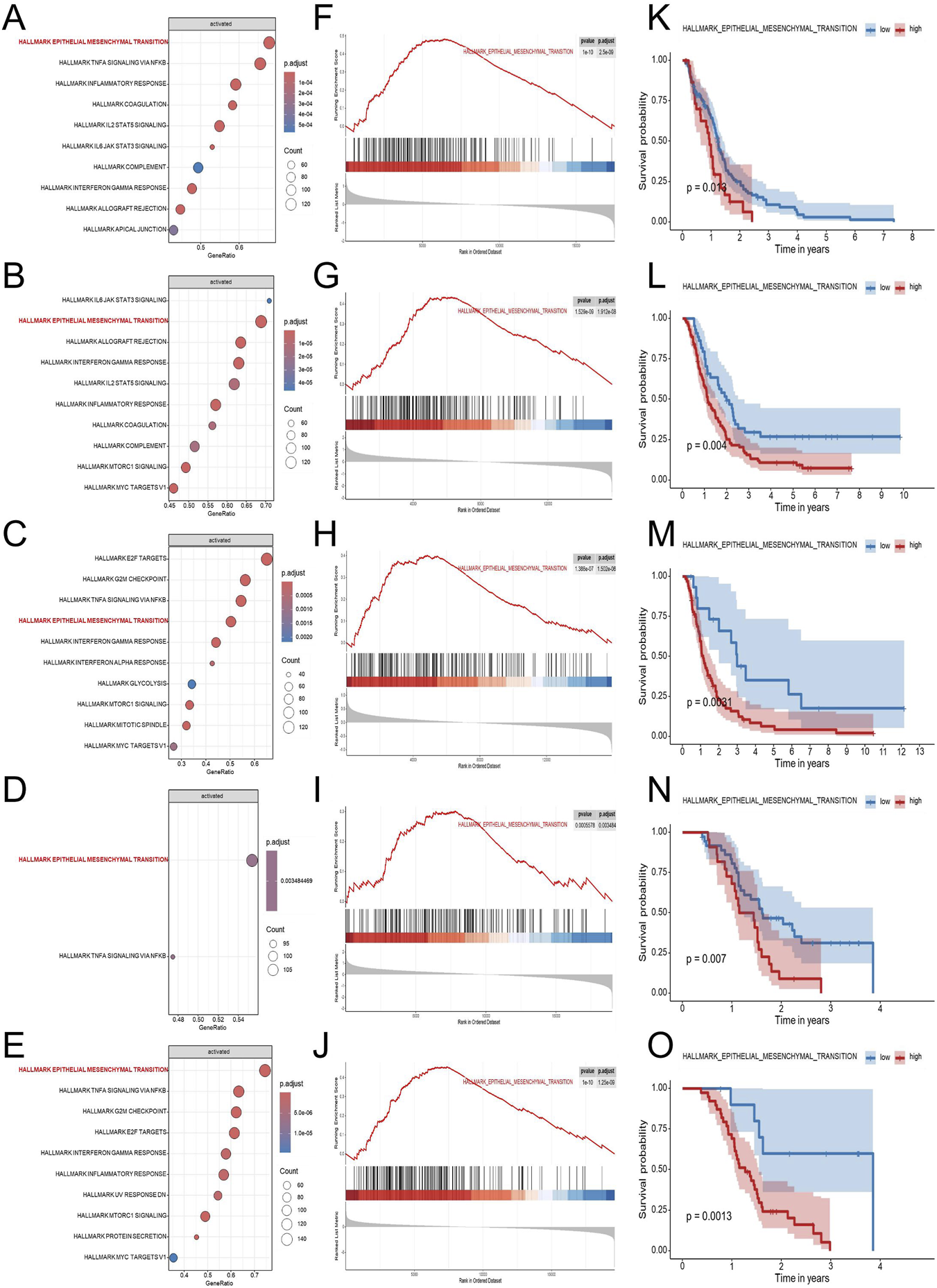 Grouped medical data visualizations with panels A to O. Panels A-E depict bubble plots showing gene sets activated with statistical significance. Panels F-J display enrichment plots for hallmark epithelial-mesenchymal transitions. Panels K-O show Kaplan-Meier survival curves comparing high and low expression groups, indicating survival probabilities over time with p-values annotated.