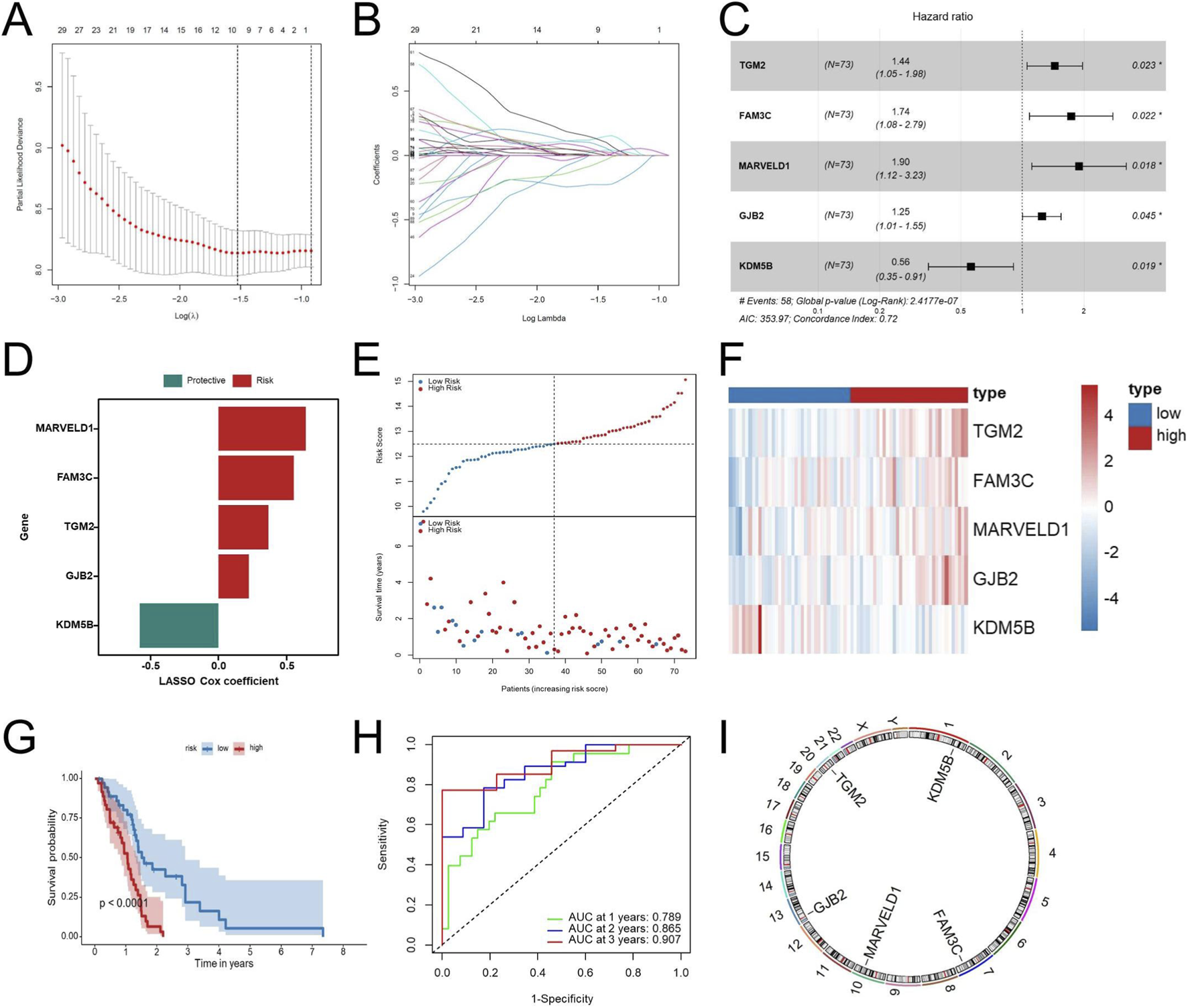 The image contains multiple panels related to a gene expression analysis in a medical study.A: A plot showing partial likelihood deviance versus log(lambda) in LASSO regression.B: A plot of coefficients against log(lambda) showcasing variable selection.C: A forest plot of hazard ratios for five genes with confidence intervals.D: A bar plot showing LASSO Cox coefficients for protective and risk-related genes.E: A scatter plot of risk scores and survival status for patients.F: A heatmap of gene expression levels with low to high color gradient.G: Kaplan-Meier survival curves for low and high-risk groups.H: ROC curves for 1, 2, and 3-year survival predictions.I: A circos plot illustrating gene locations on chromosomes.