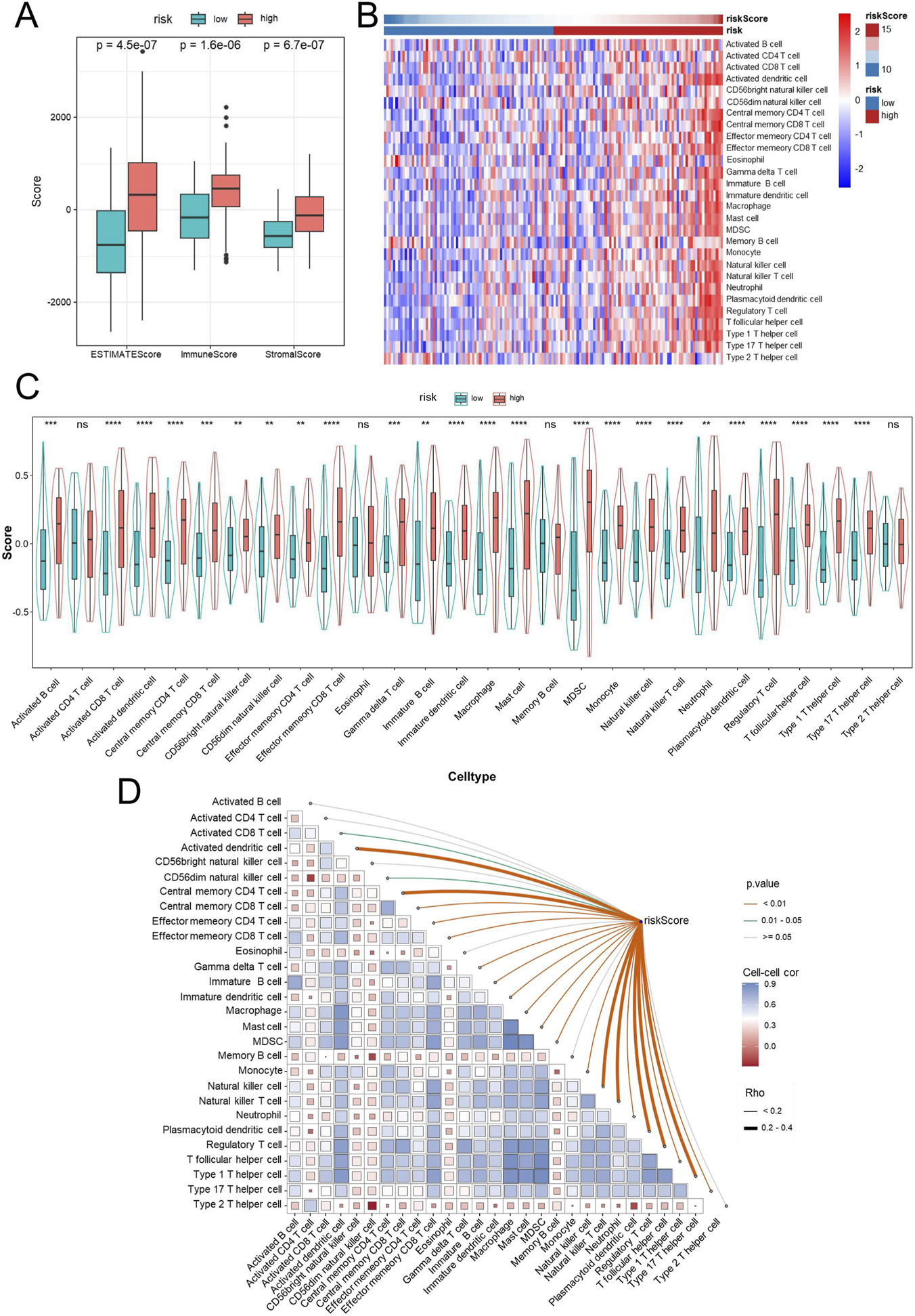 Panel A shows box plots comparing ESTIMATEScore, ImmuneScore, and StromalScore between low and high risk groups, with significant p-values. Panel B displays a heatmap of risk scores across various cell types, with a color gradient from blue to red. Panel C features violin plots illustrating score distributions for different cell types stratified by risk, with statistical significance indicated. Panel D includes a correlation matrix and network plot linking cell types and riskScores, showing varying p-values and correlations.