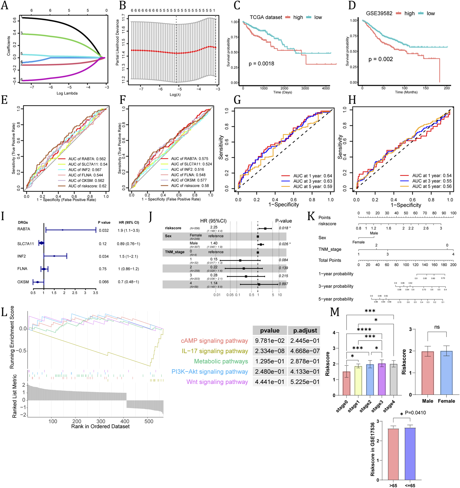 Various graphs and charts analyzing survival data and risk scores. Graphs (A-H) depict model testing and survival analyses with ROC curves, survival probability graphs, and lambda plots. Panel I shows a forest plot of hazard ratios for different genes. Panel J presents a forest plot correlating risk score, sex, and TNM stage with survival outcomes. Panel K is a nomogram predicting survival probabilities. Panel L displays pathway enrichment with significant pathways highlighted. Panel M includes bar charts comparing risk scores across different groups and conditions.