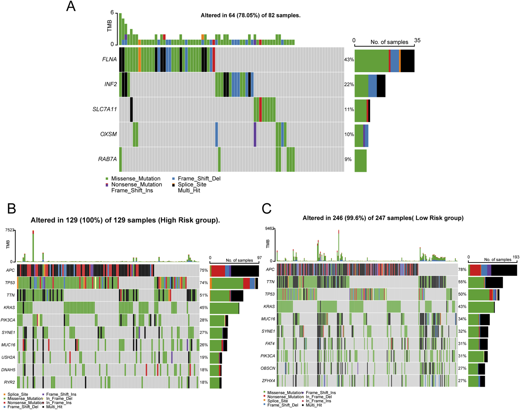 Graphic depicting genetic alterations across three panels, labeled A, B, and C. Panel A shows alterations in 64 of 82 samples with gene names and mutation types using color coding. Panel B displays alterations in all 129 high-risk samples, highlighting genes such as APC and TP53. Panel C illustrates alterations in 246 of 247 low-risk samples, focusing on genes like APC and TTN. Each panel includes bar charts for the number of samples and percentages affected. Color legend includes mutation types such as missense, nonsense, and splice-site.