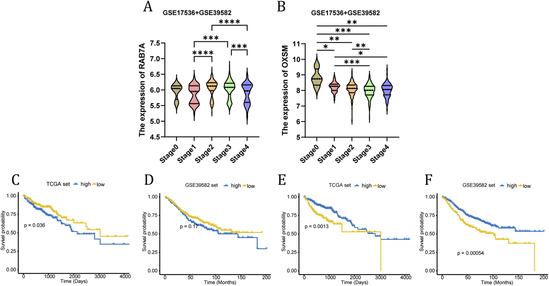 Violin plots and Kaplan-Meier survival curves illustrate gene expression and survival data. Panels A and B show RAB7A and OXSM expression across cancer stages with statistical significance indicated by asterisks. Panels C to F present survival probabilities for different expression levels, with blue representing high and yellow low expression groups, showing p-values for statistical differences.