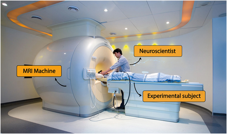 איור 1 - מכשיר MRI במערך ניסוי.