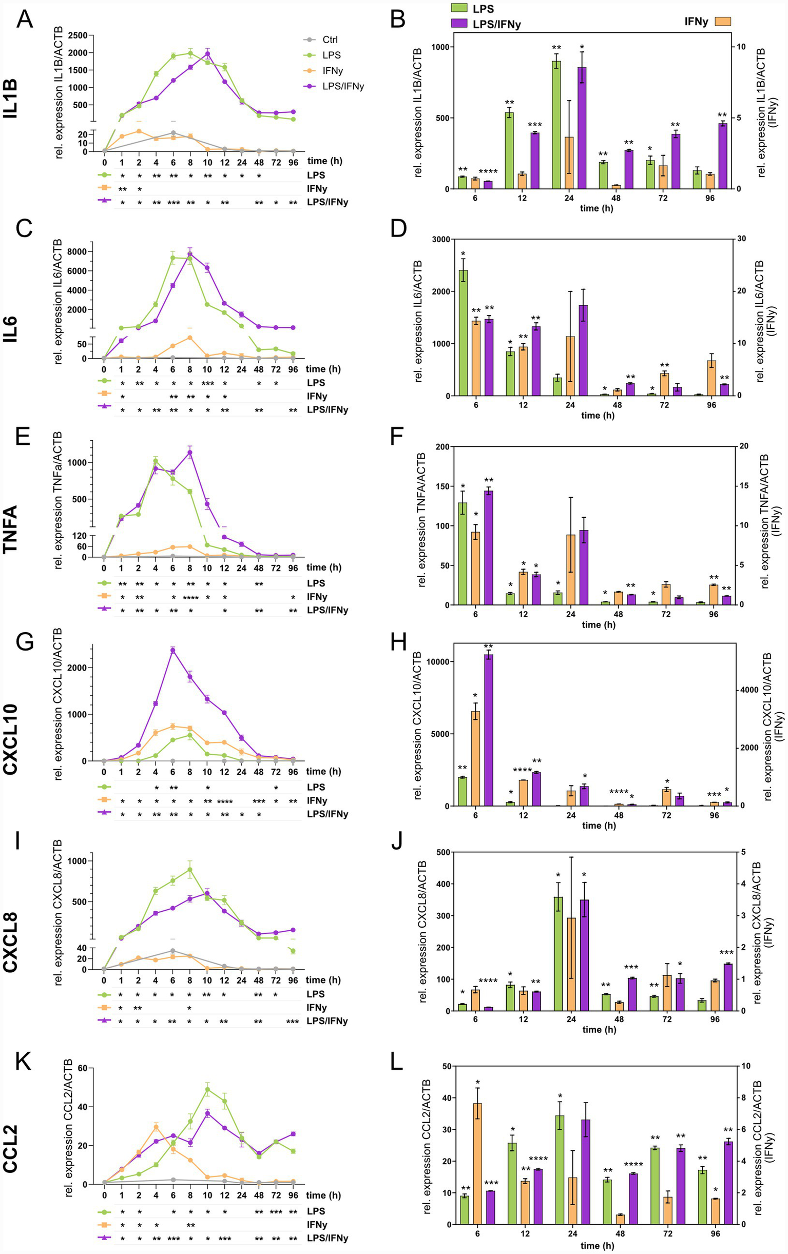 Graphs show relative expression of IL1B, IL6, TNFA, CXCL10, CXCL8, and CCL2 genes over time in response to treatments. Line charts (A, C, E, G, I, K) display expression trends at multiple time points (0-96h) with various treatments: control, LPS, IFNγ, and LPS/IFNγ. Corresponding bar charts (B, D, F, H, J, L) present expression levels at select time points. Statistically significant results are marked with asterisks. The study highlights how different treatments affect gene expression over time.