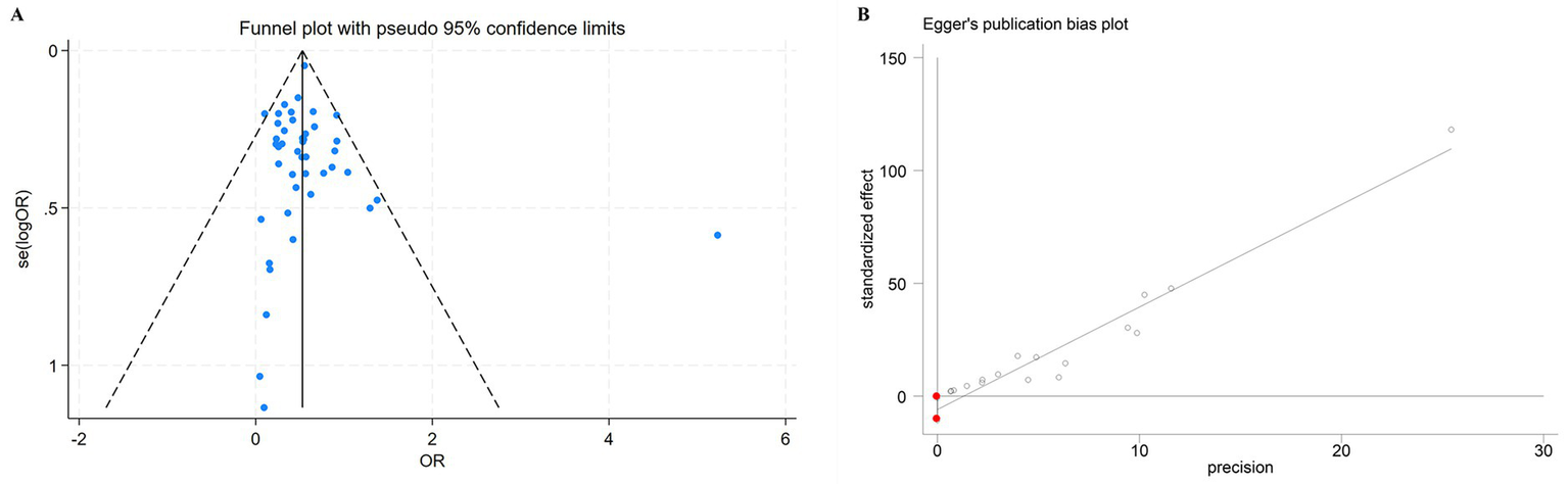 Panel A shows a funnel plot with pseudo ninety-five percent confidence limits, depicting the standard error of logarithmic odds ratios against odds ratios. Most blue dots cluster near the vertical line, with one outlier. Panel B shows Egger's publication bias plot, illustrating standardized effect against precision. Most data points form a linear pattern, with a red point at the origin. Both plots assess publication bias in meta-analysis studies.