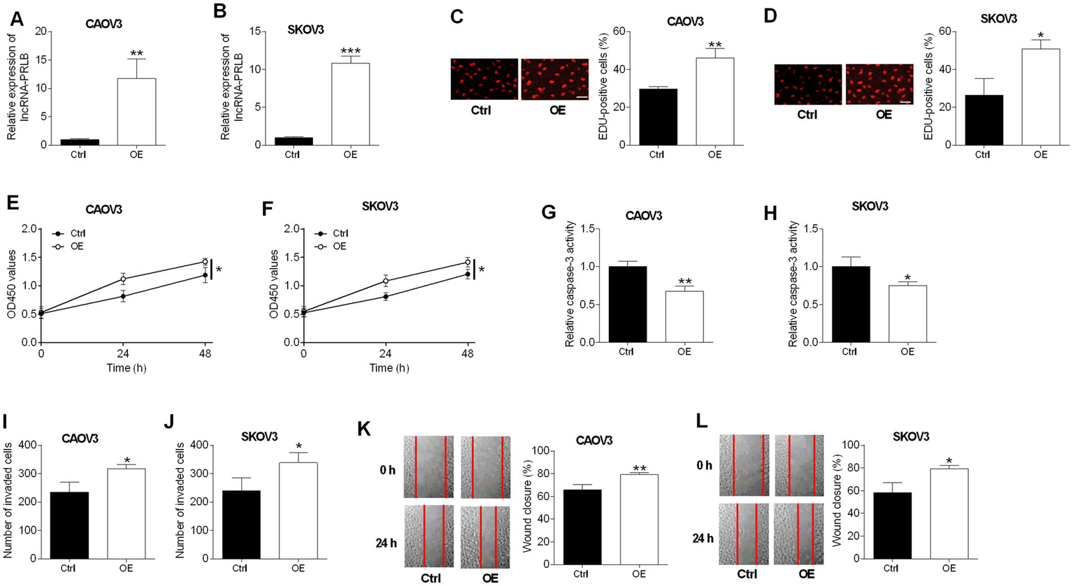 Scientific figure presenting multiple panels with bar graphs, line graphs, fluorescence microscopy images, and wound healing assay results. Panels A and B show increased lncRNA PFLB expression in CAOV3 and SKOV3 cells with overexpression versus control. Panels C and D display representative cell images with red nuclear staining and quantification of more EDU-positive cells in the overexpression group for both cell lines. Panels E and F show increased cell proliferation over forty-eight hours in the overexpression group. Panels G and H present reduced caspase-3 activity with overexpression. Panels I and J report increased invaded cell numbers in the overexpression group. Panels K and L show representative wound healing images and quantification, with overexpression leading to greater wound closure after twenty-four hours. Statistical significance is indicated by asterisks.