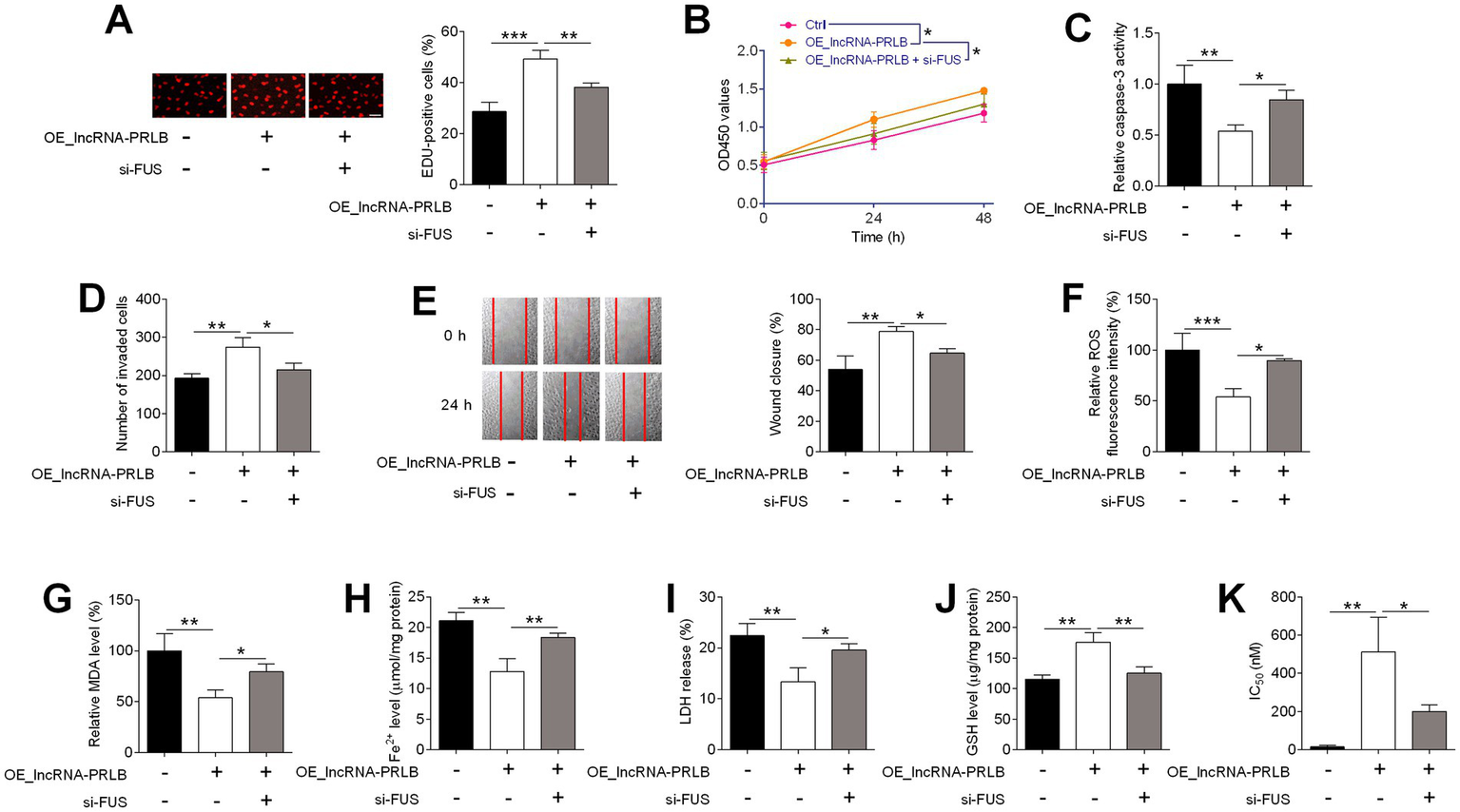 Scientific figure composed of panels A to K showing various experimental results related to OE_lncRNA-PRLB and si-FUS on cell behavior. Panels include fluorescent cell images, bar plots, a line graph, and wound healing images, displaying measurements for cell proliferation, viability, apoptosis, invasion, migration, oxidative stress, iron, LDH release, glutathione, and IC50. Statistical significance is indicated with asterisks, and experimental conditions are labeled in each panel.