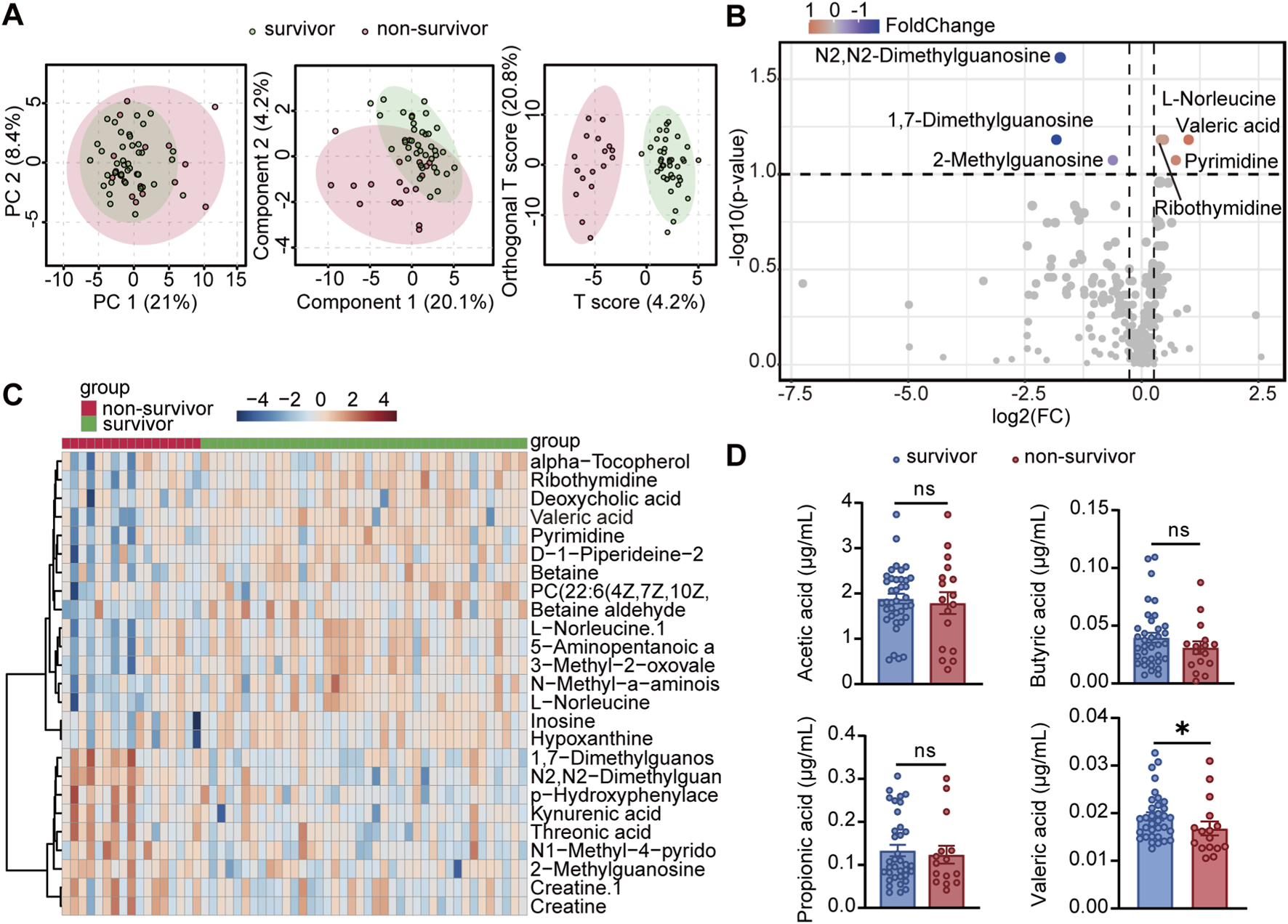 Four panels display various analyses. Panel A shows three scatter plots with PCA and T scores separating survivors and non-survivors with shaded regions. Panel B is a volcano plot highlighting significant metabolites. Panel C presents a heat map clustering metabolic features by survivor groups. Panel D contains bar charts comparing metabolite levels between survivors and non-survivors, with statistical significance marked by asterisks.