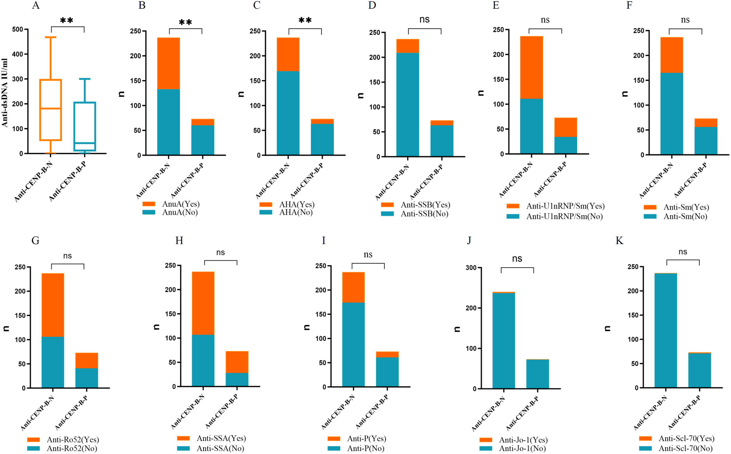 Bar and box plots comparing Anti-CENP-B-N and Anti-CENP-B-P groups across multiple panels labeled A to K. Panel A shows a significant difference in Anti-dsDNA levels. Panels B and C show significant differences, while panels D to K show no significant difference. Annotations indicate antibody presence or absence with color coding: orange for “Yes” and blue for “No.” Statistical significance is marked by double asterisks and “ns” for non-significance.
