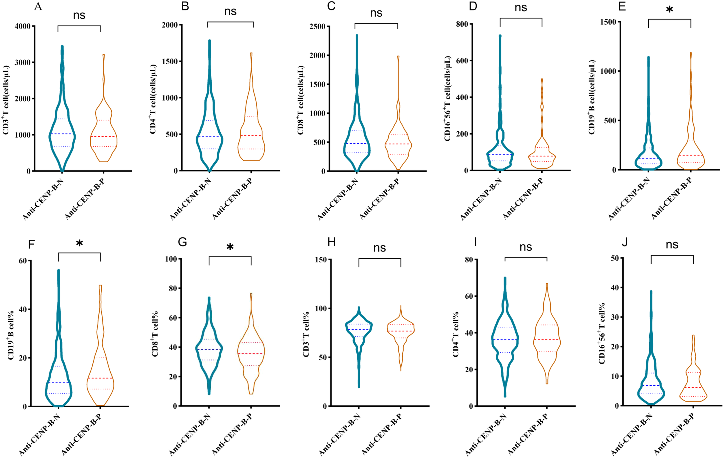 Violin plots illustrate cell counts and percentages for CD3+ T cells, CD4+, CD8+, CD16+56+ T cells, and CD19+ B cells, comparing Anti-CENP B+N and Anti-CENP B+P groups. Asterisks indicate significant differences; “ns” denotes non-significance.
