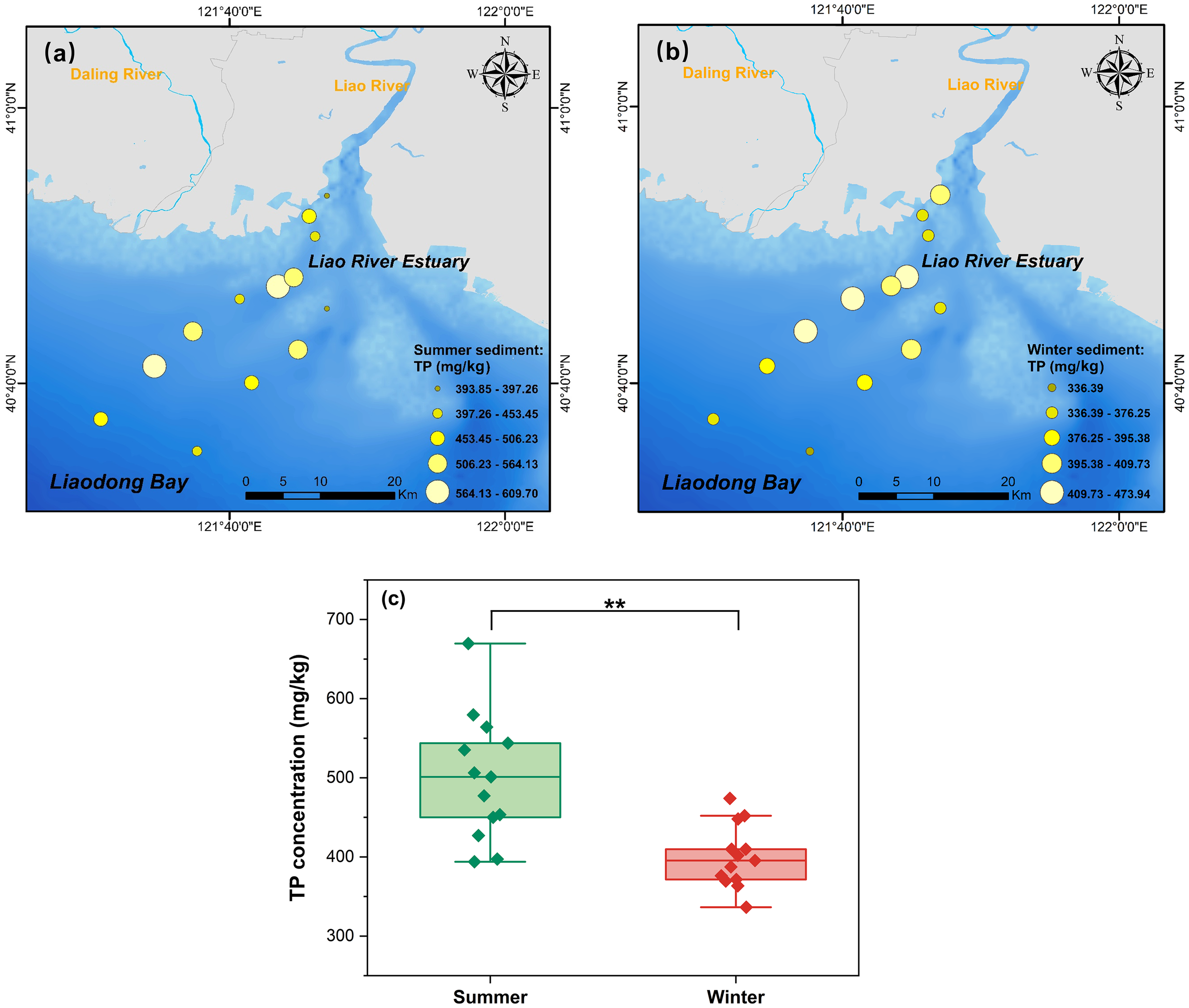Maps show total phosphorus concentration in the Liao River Estuary and Liaodong Bay for summer (a) and winter (b) with varying marker sizes indicating levels. Graph (c) compares TP concentration in summer and winter, showing higher values in summer, with a statistical significance indicated by double asterisks.