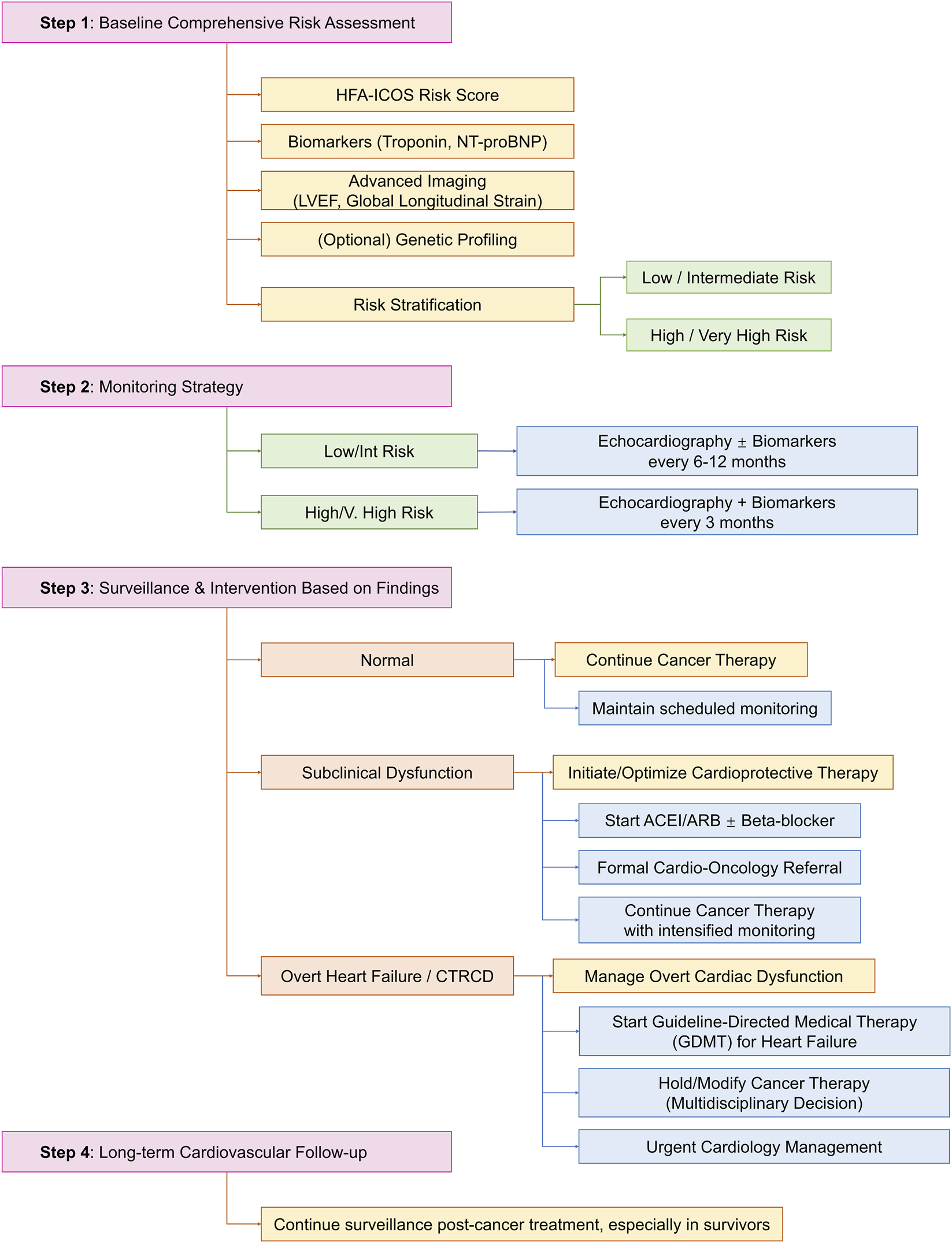 Flowchart outlining a four-step cardio-oncology management pathway: Step 1âBaseline assessment uses risk scoring, biomarkers, imaging, and genetic profiling for risk stratification. Step 2âMonitoring intervals are based on risk group. Step 3âInterventions differ by findings: normal function, subclinical dysfunction, or overt heart failure. Step 4âLong-term cardiovascular follow-up with ongoing surveillance post-cancer treatment.