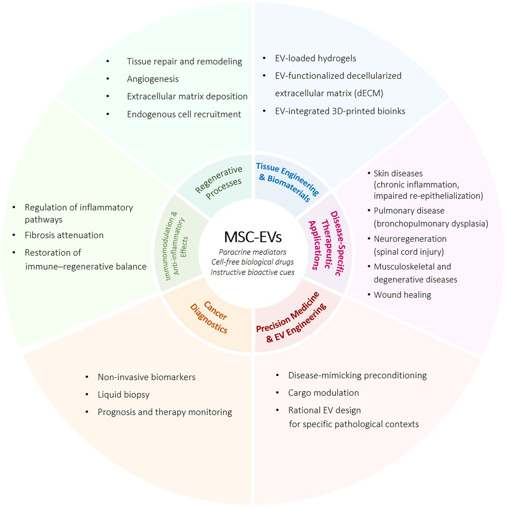 Diagram illustrating the applications of MSC-EVs (Mesenchymal Stem Cell-derived Extracellular Vesicles). Central circle emphasizes them as paracrine mediators and cell-free biological drugs. Five outer segments highlight applications: regenerative processes, immunomodulation and anti-inflammatory effects, cancer diagnostics, precision medicine, and tissue engineering. Detailed uses include tissue repair, inflammation regulation, non-invasive biomarkers, and disease-specific therapeutic applications like wound healing and neuroregeneration.