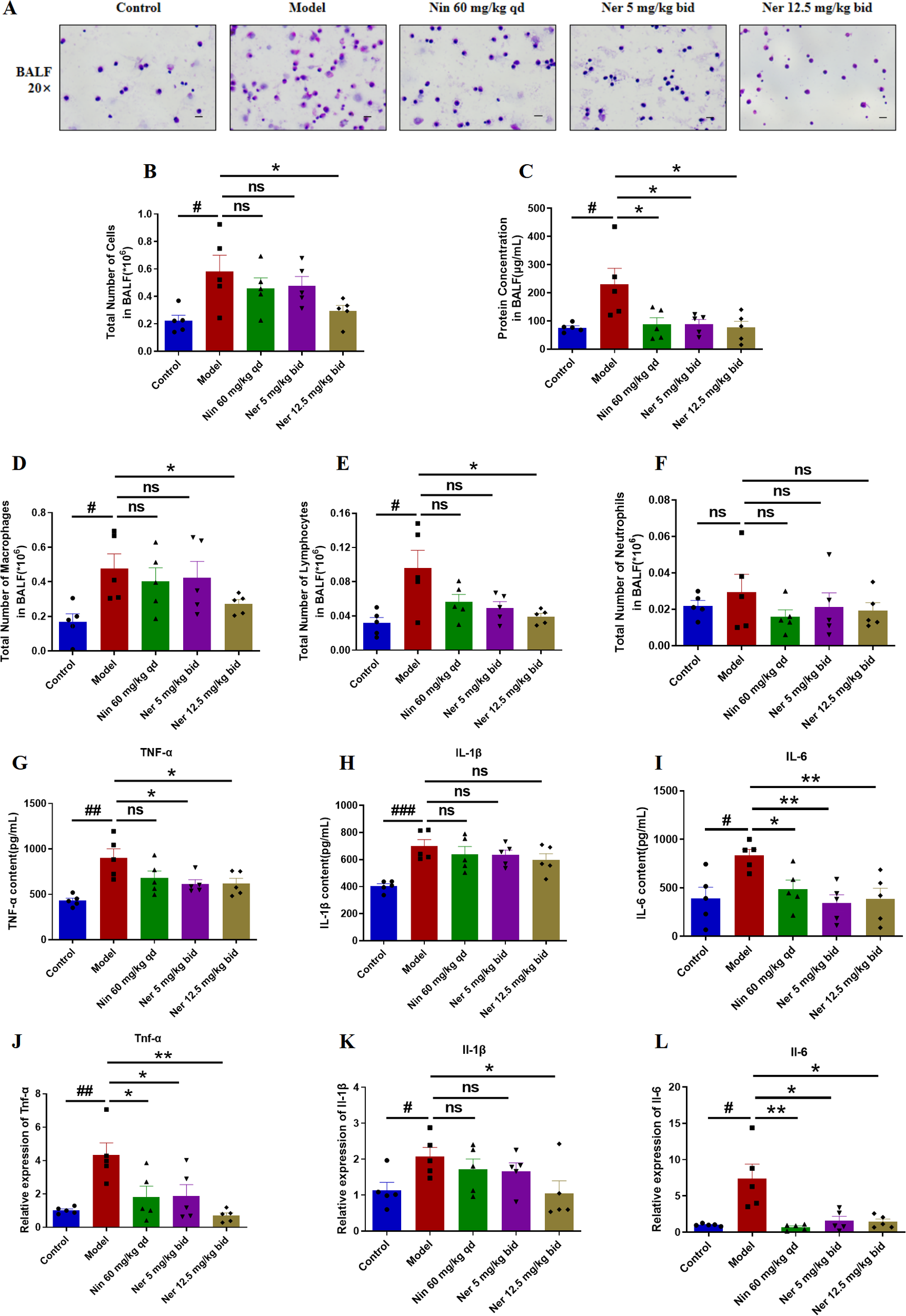 Panel A displays microscopic images of bronchoalveolar lavage fluid (BALF) cell samples stained with H&E at 20x magnification for five groups, showing varying cell densities. Panels B through L present bar graphs comparing total cell numbers, protein concentrations, immune cell counts, cytokine levels, and gene expression data across five groups with statistical annotations, highlighting differences and significance levels between treatments.