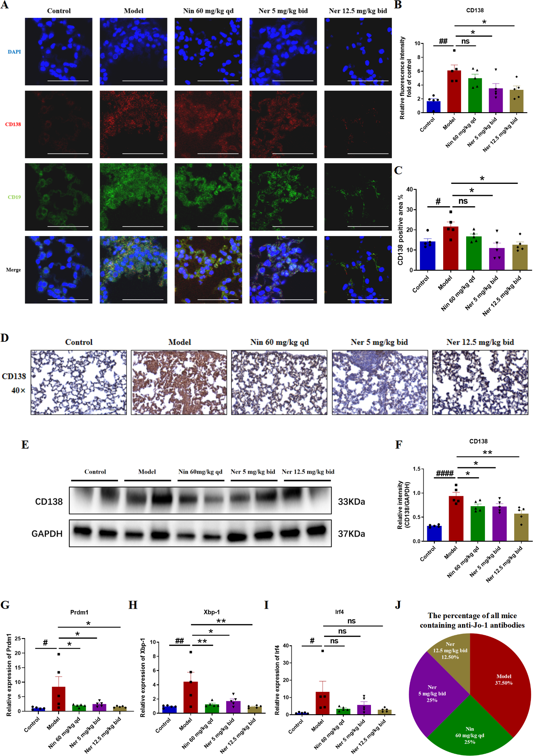 Panel A shows immunofluorescence images of cells stained for DAPI (blue), CD138 (red), and CD19 (green) across five experimental groups, followed by merged images. Panels B, C, F, G, H, and I present bar graphs quantifying fluorescence intensity or expression of CD138, Prdm1, Xbp-1, and Irf4, with statistical annotations. Panel D provides histological images of lung tissue stained for CD138 at forty times magnification for each group. Panel E shows western blot bands of CD138 and GAPDH in the respective groups. Panel J contains a pie chart showing percentages of mice with anti-Jo-1 antibodies for each treatment group.