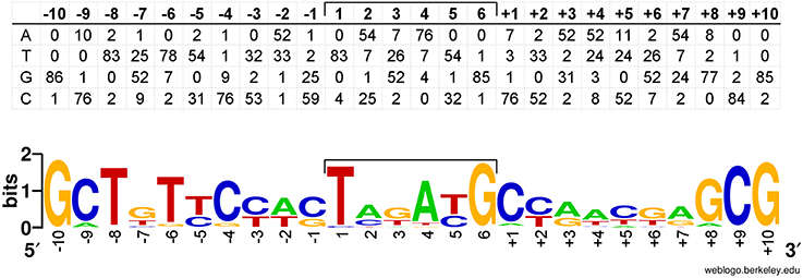 Frontiers | Zinc-Induced Transposition of Insertion Sequence Elements ...