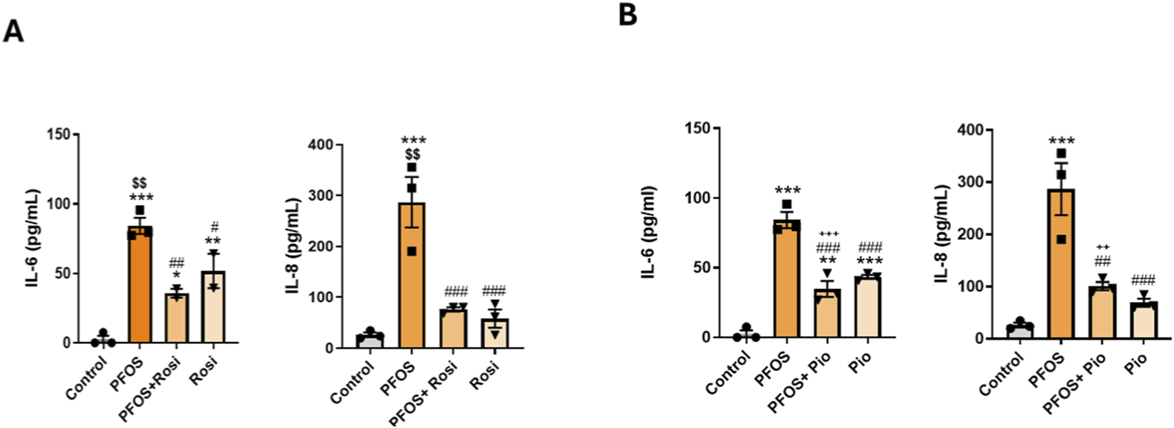 Bar graphs illustrate IL-6 and IL-8 levels in different experimental groups. Panel A shows Control, PFOS, PFOS plus Rosi, and Rosi treatments. Panel B compares Control, PFOS, PFOS plus Pio, and Pio treatments. Bars show significant differences using symbols such as asterisks and hashes.