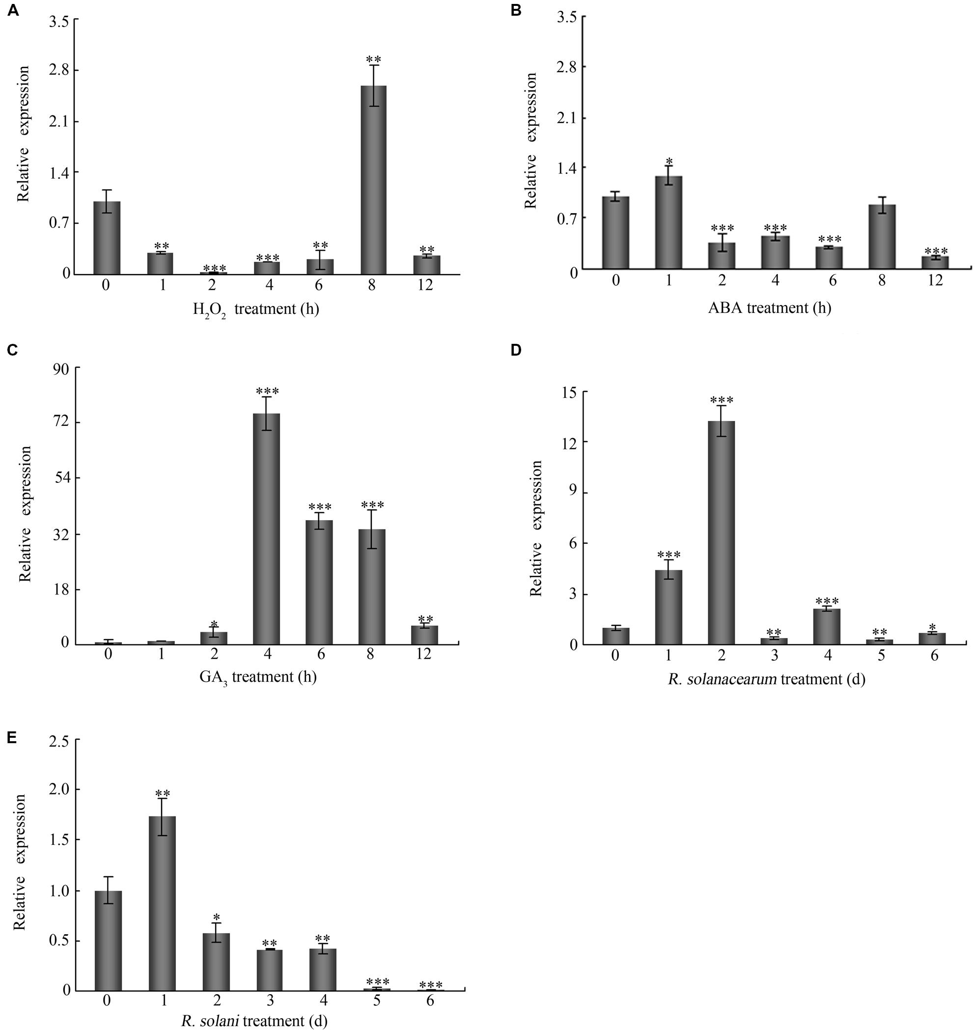 | Overexpression of Cotton GhMPK11 Decreases Disease Resistance through the Gibberellin Signaling Pathway in Transgenic Nicotiana benthamiana | Plant Science