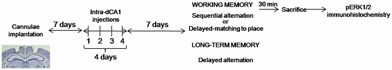 Delay matching