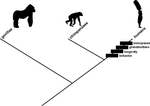 www.frontiersin.org