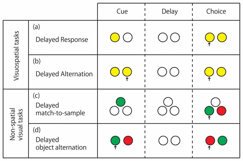 Delay matching