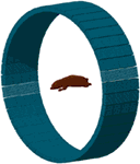 www.frontiersin.org