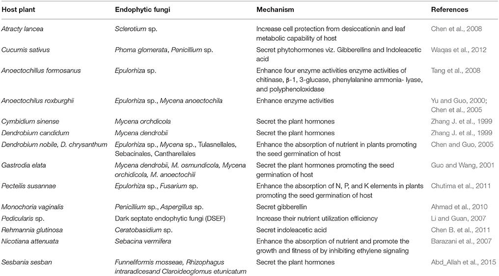 Frontiers | A Friendly Relationship between Endophytic Fungi and 
