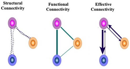 www.frontiersin.org