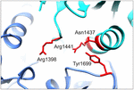 www.frontiersin.org