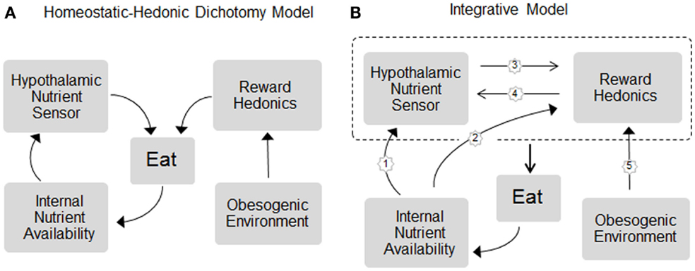 hedonic model hedonic model