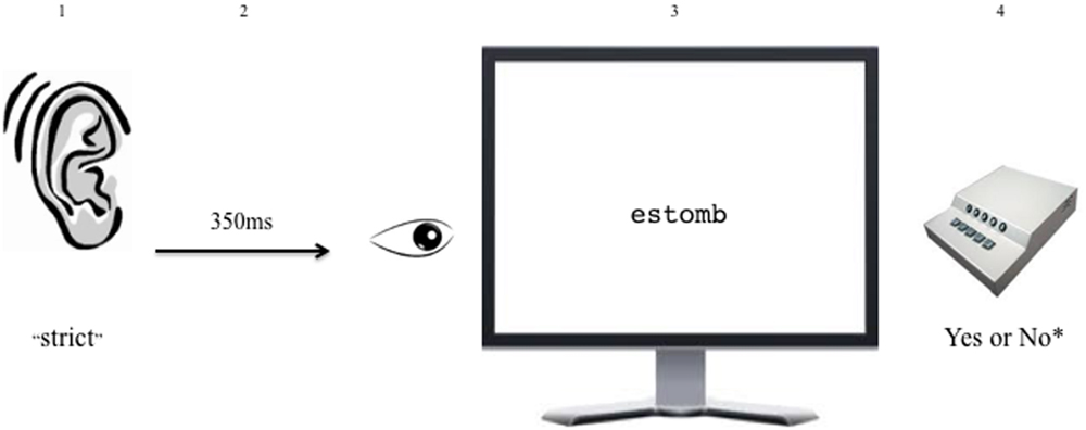 www.frontiersin.org